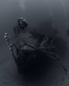 A diver being pretty brave at the wreck of the Fearless. by Juan Torres 